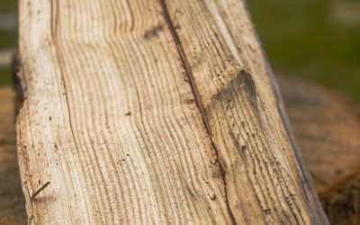 Douglas Fir Firewood is Your Perfect Firewood for Your Indoor or Outdoor Burning Experience