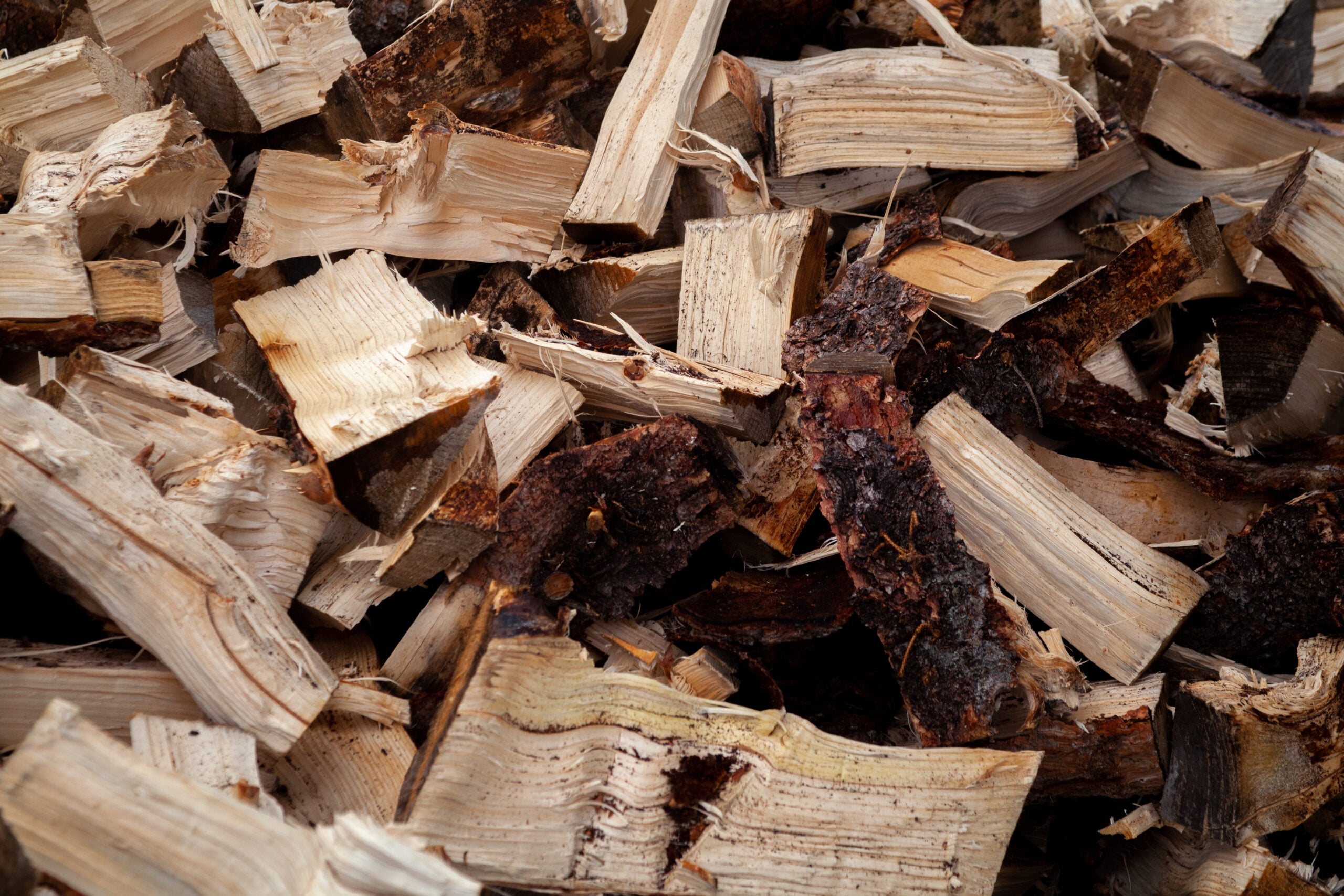 Alberta Camping Firewood Mix (Spruce/Pine) - Image 3
