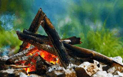 Timber Ridge Summer Campfires 101