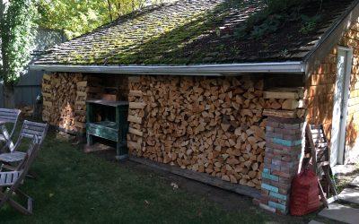 Choosing the Best Firewood for Winter: Seasoned vs. Kiln-Dried Wood Explained