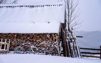 Winter Wisdom: The Art of Storing Firewood to Keep Your Home Warm and Cozy