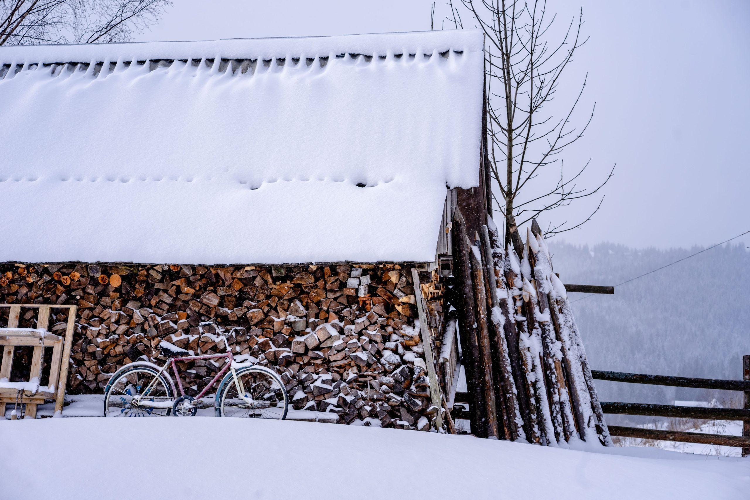 The Art of Storing Firewood to Keep Your Home Warm and Cozy Firewood Storage