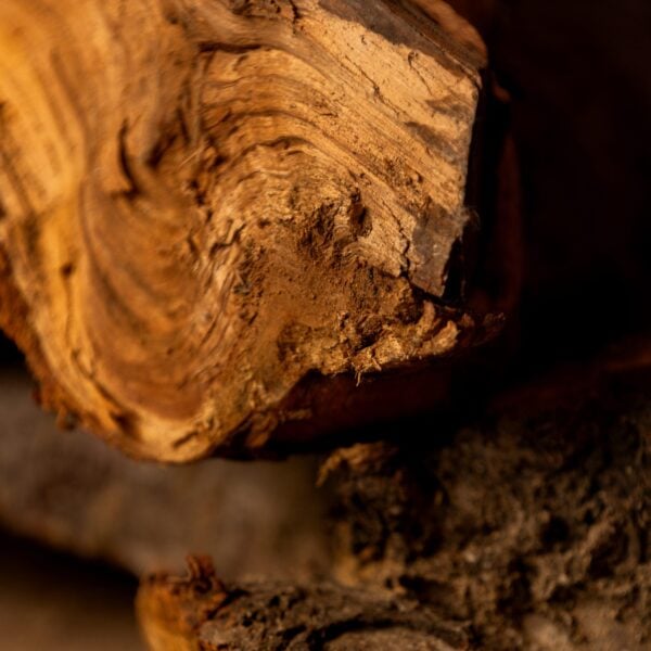Apple firewood Detail Shot