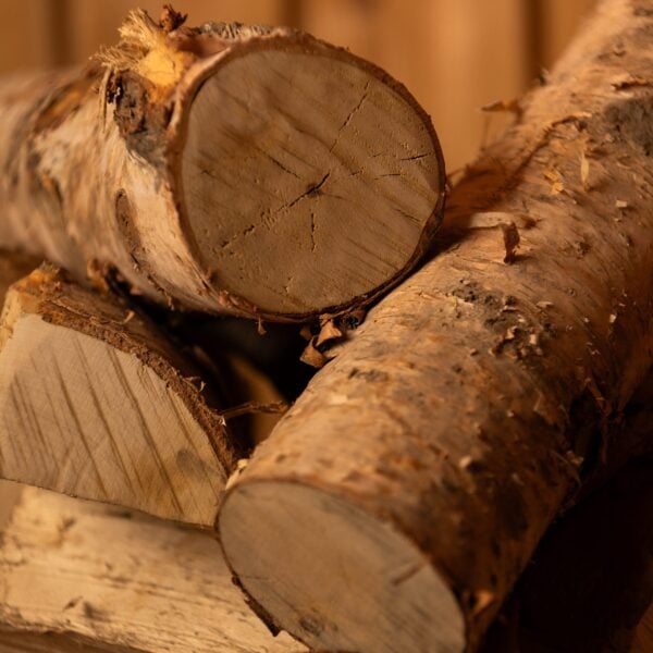 Birch Firewood Detail Shot