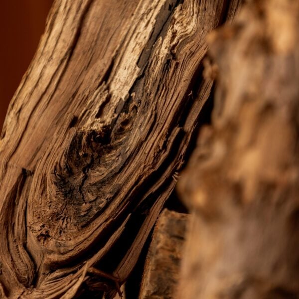 Cherry Firewood Detail Shot