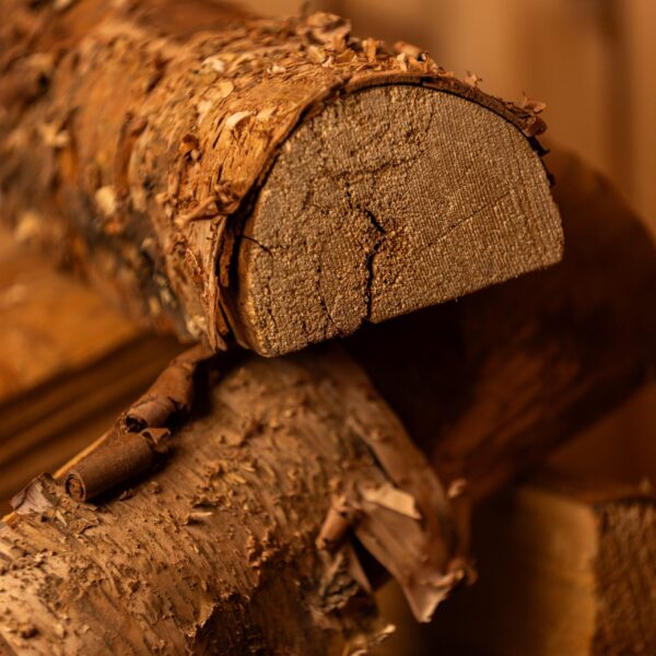 Stacked Birch Firewood Logs