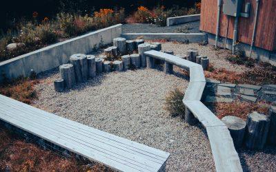 Non-Fire Uses of Firewood: Décor and Practical Uses