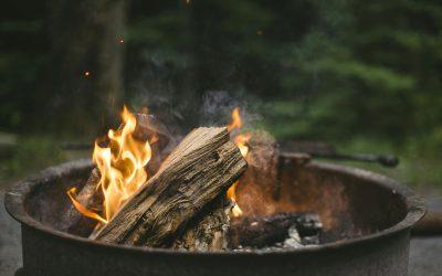 Premium Firewood for Winter 2024: Timber Ridge Firewood Guide