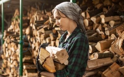Firewood for Sale: Premium Quality and Reliable Service with Timber Ridge Firewood