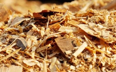 Sawdust: The hidden gem you have been overlooking