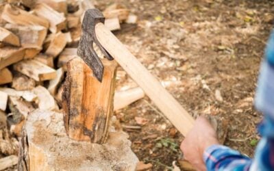 Firewood cutting made easy: Tips to save time and effort
