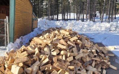 Rediscovering Pine Firewood: A Versatile and Affordable Option