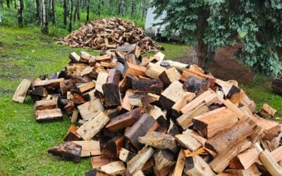 Seasonal Firewood Choices: Find the Right Wood for Every Season