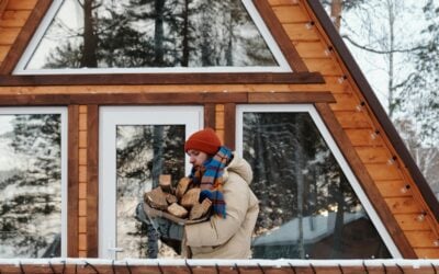 Hardwoods vs Softwoods for Firewood: Which is Best for Your Home?