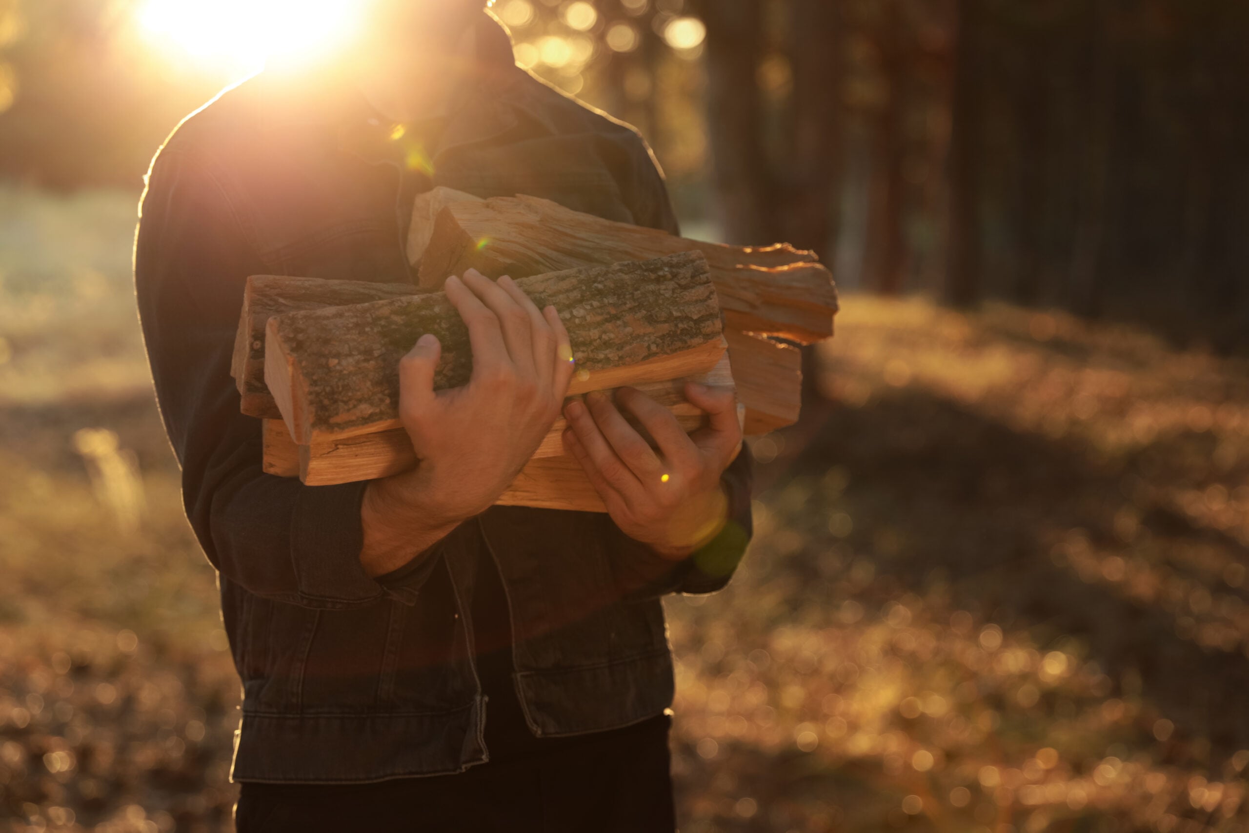 Person Holding Firewood