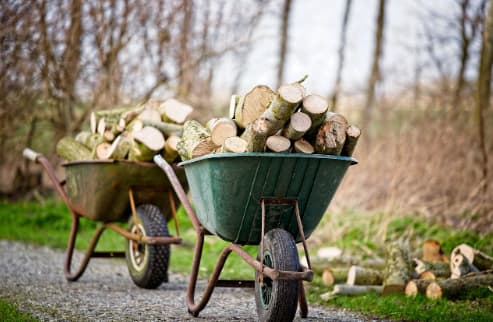 Image 01 How Much Firewood Do I Need for a Season