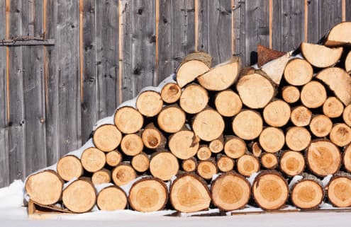 Image 02 How Long to Season Birch Firewood to Prevent Popping and Sparking
