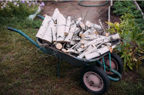 Image 03 How Long to Season Birch Firewood to Prevent Popping and Sparking