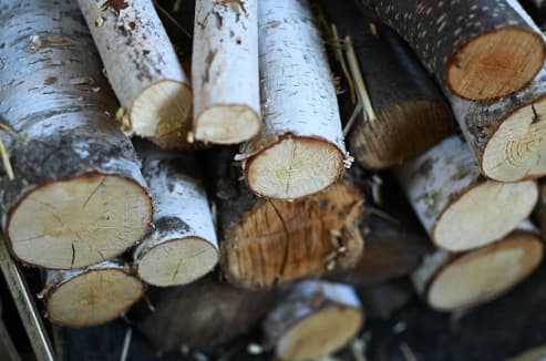Thumbnail How Long to Season Birch Firewood to Prevent Popping and Sparking