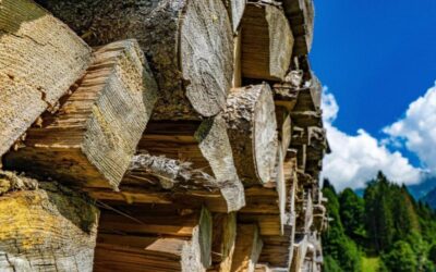 How to Store Firewood the Right Way