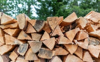 How Much Firewood Do I Need for a Season?